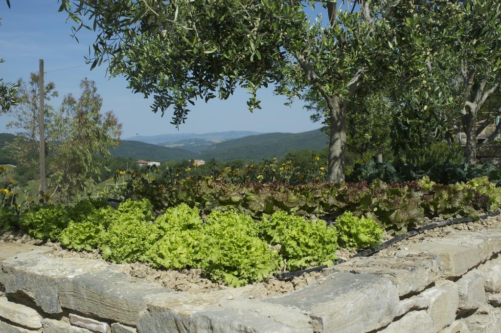 Vila Agriturismo Erta Casole dʼElsa Exteriér fotografie