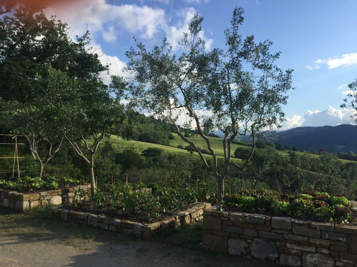 Vila Agriturismo Erta Casole dʼElsa Exteriér fotografie